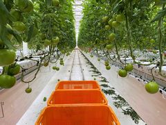 나주시 시설원예 지원사업 체계화…농가 대응력 강화