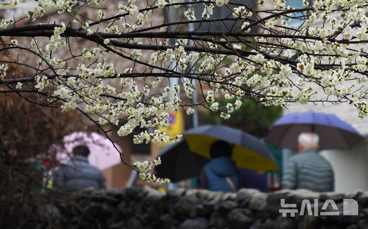[제주=뉴시스] 우장호 기자 = 제주시 도남동 거리에 우산을 쓴 시민들이 걸어가고 있다. 2025.03.03. woo1223@newsis.com