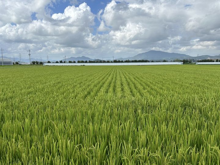 정부, 사상 첫 농지 전수조사…투기 목적이면 즉시 처분 검토