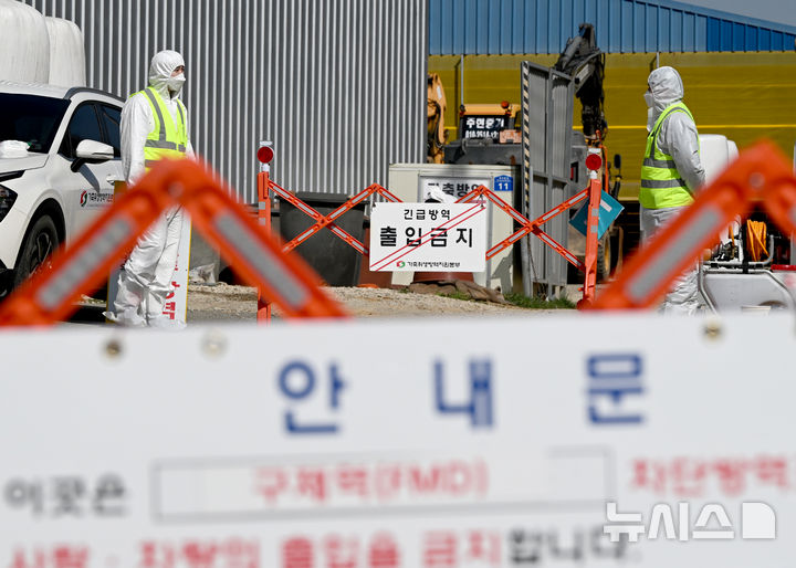 전남 영암 한우농장 3곳서 구제역 추가발생…긴급방역조치