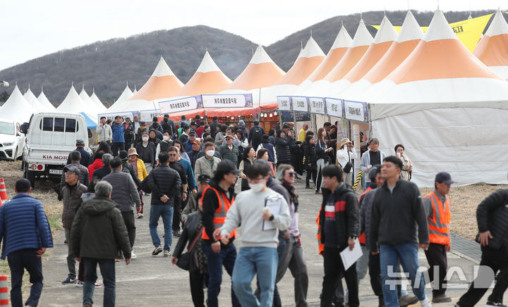 [제주=뉴시스] 우장호 기자 = 14일 제주시 애월읍 봉성리 새별오름 일대에서 열린 제주들불축제에 도민과 관광객들의 발걸음이 이어지고 있다. 2025.03.14. woo1223@newsis.com