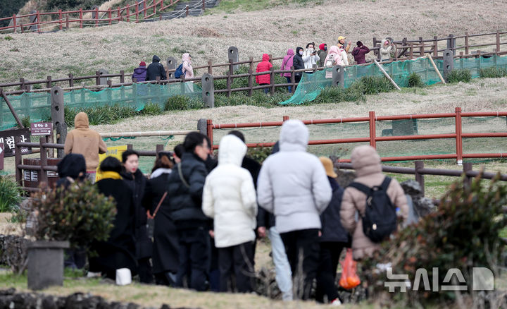 [서귀포=뉴시스] 우장호 기자 = 꽃샘추위가 찾아온 16일 오후 제주 서귀포시 성산읍 성산일출봉을 찾은 내·외국인 관광객들이 궂은 날씨에도 탐방로를 걸어가고 있다.. 2025.03.16. woo1223@newsis.com