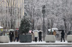 주말 전북은 비나 눈…낮 4~8도 '대기질 나쁨'