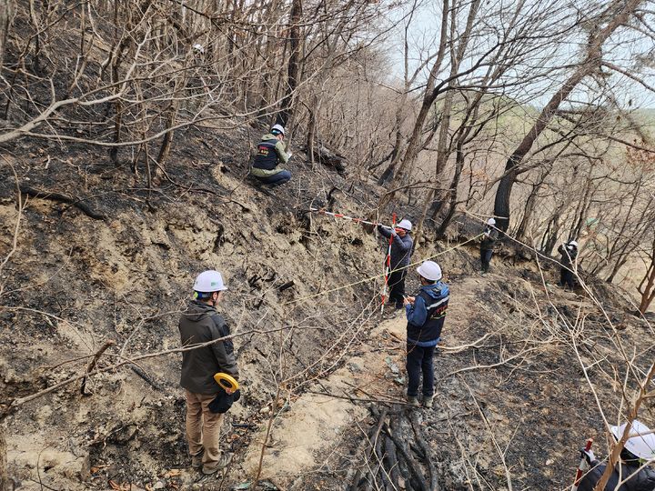 [울주=뉴시스] 대형산불 피해지인 울산광역시 울주군에서 산림당국이 산사태 긴급진단을 하고 있다.(사진=산림청 제공) *재판매 및 DB 금지