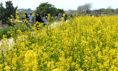 울산 주말 포근한 봄날씨…큰 일교차 유의
