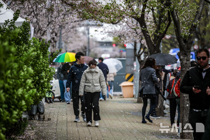 [서울=뉴시스] 정병혁 기자 = 13일 서울 영동포구 여의서로를 찾은 여행객들이 벚꽃을 바라보며 즐거운 시간을 보내고 있다. 2025.04.13. jhope@newsis.com