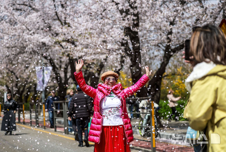 [서울=뉴시스] 정병혁 기자 = 13일 서울 영동포구 여의서로를 찾은 여행객들이 떨어진 벚꽃잎을 뿌리며 사진을 찍고 있다. 2025.04.13. jhope@newsis.com
