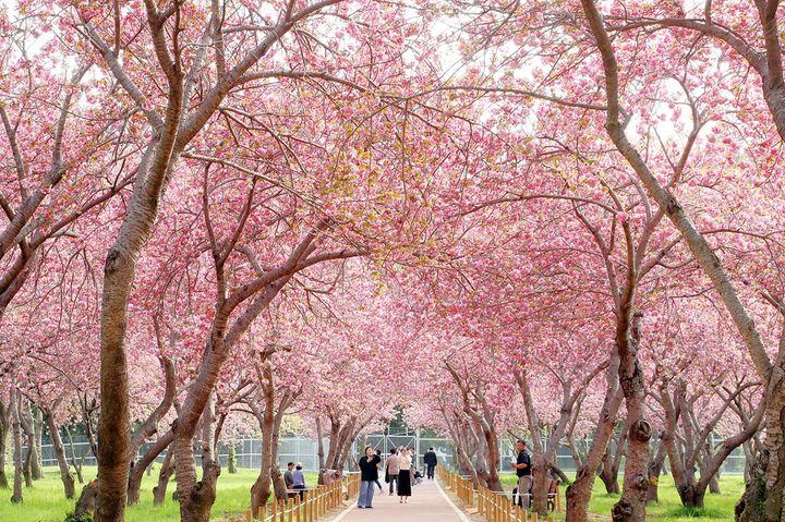 분리과세에 기대감 '활짝'…어떤 종목 담을까