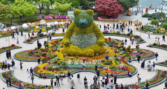 봄꽃 기차 타고 ‘고양국제꽃박람회’로…코레일관광개발