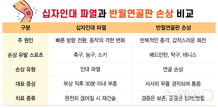 [서울=뉴시스]십자인대파열과 반월연골판 손상을 비교한 표. (자료= 강동경희대병원 제공) 2025.05.11. photo@newsis.com. 