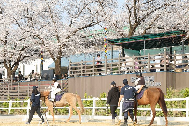[부산=뉴시스] 서울에서 열린 도심공원 승마축제 모습. (사진=한국마사회 제공) 2025.05.12. photo@newsis.com *재판매 및 DB 금지