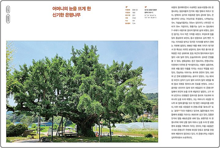 [대전=뉴시스] 산림청이 전국 100그루의 보호수가 간직한 이야기를 담아 편찬한 '이야기가 있는 보호수2' 책자 본문.(사진=산림청 제공)  *재판매 및 DB 금지
