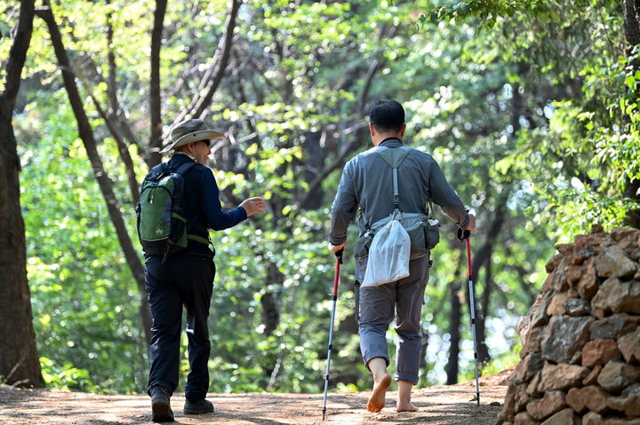 [서울=뉴시스] 서대문구 백련산 능선 등산로 2km 구간 '맨발길' 새 단장. 2025.05.14. (사진=서대문구 제공) *재판매 및 DB 금지