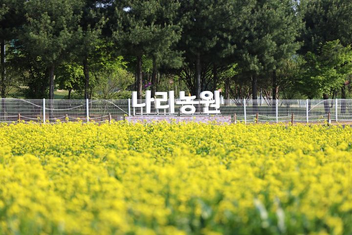 양주 나리농원, 이달 24일 봄 개장…9일간 '무료 입장'