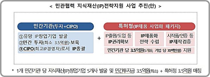 [대전=뉴시스] 특허청의 '2025년 민관협력 지식재산(IP) 전략지원 사업' 개요도.(사진=특허청 제공) *재판매 및 DB 금지