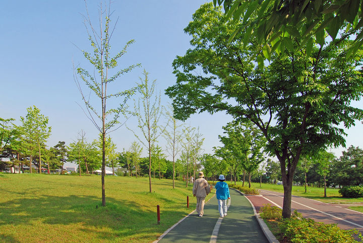 체중 감량 위해선 식사 직후 15분 동안 '이것' 효과적