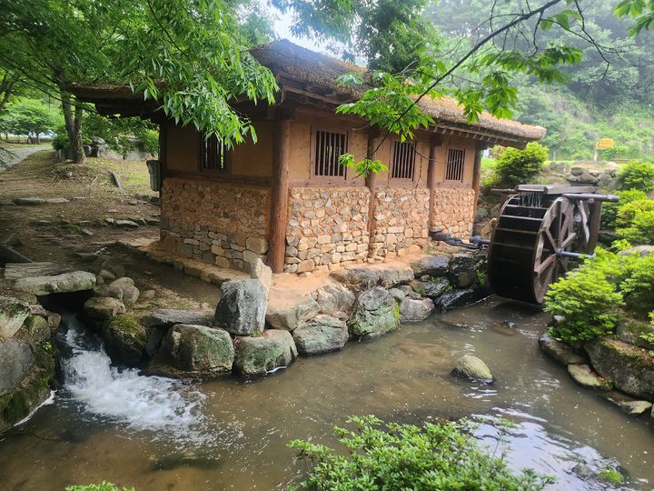 [함양=뉴시스] 서희원 기자= 21일 천년의 숲 함양 상림공원 숲 인근에 물레방아가 돌고 있다. 2025. 5. 21. shw1881@newsis.com      *재판매 및 DB 금지