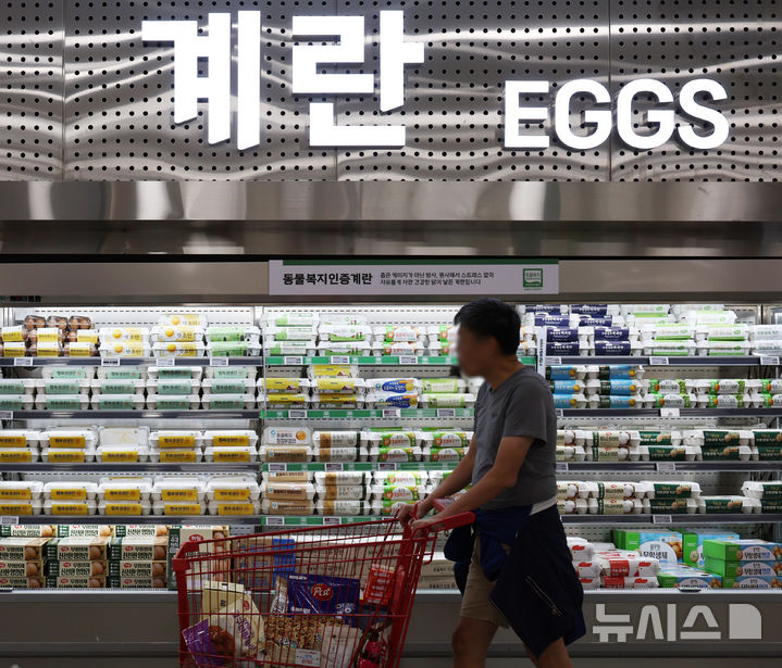 계란값 7200원대 돌파…AI·규제·폭염에 소비쿠폰까지 '가격 자극 4중고'