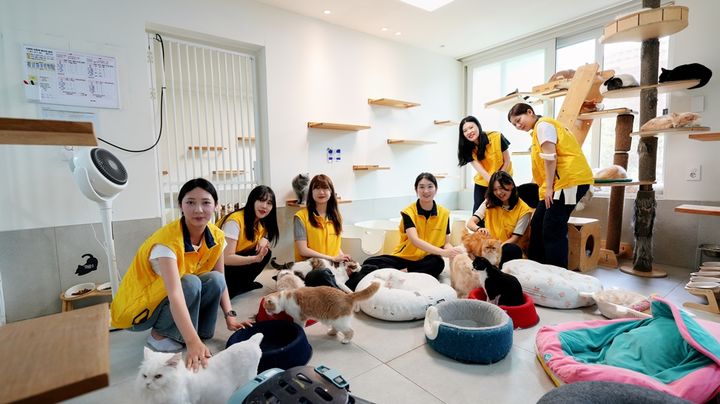 HDC그룹, 용산 동물보호서에서 연합 봉사활동