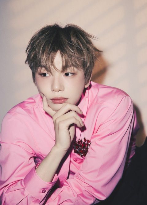 강다니엘, 미국 투어 중 도난 피해… 강다니엘, 미국 투어 중 도난 피해…