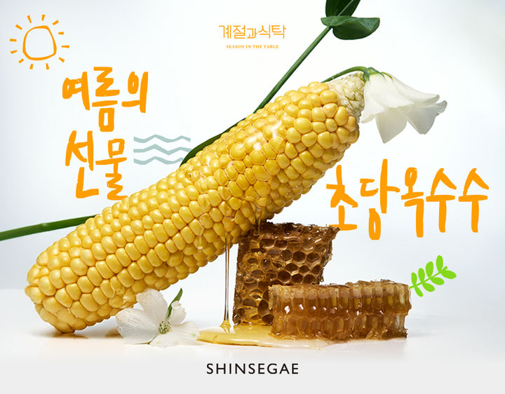 신세계百, 초당 옥수수 맛·정보·할인 다 담았다…22일까지 특가 쿠폰도