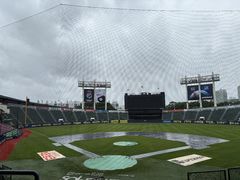 전국 적신 봄비에 프로야구 전 경기 취소…'야구 없는 목요일'