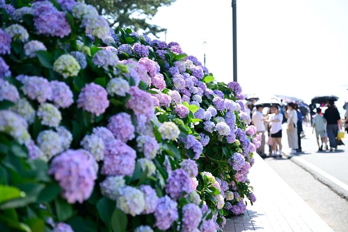 images
