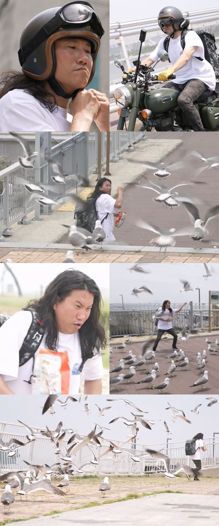 갈매기떼 공격 받은 임우일 줄행랑 