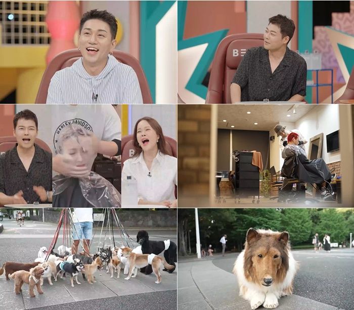 32마리 개를 동시 산책시키는 男…어떻게