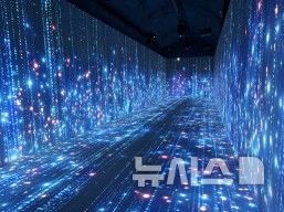 김해낙동강레일파크, 와인동굴 14~16도…개장체험형 미디어아트 보강