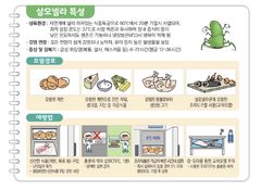 여름 같은 5월…식중독 일으키는 '이 균' 주의보