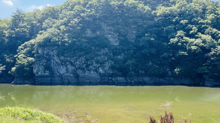 물에 잠긴 '선사시대 걸작' 세계 유산 반구천 암각화…보름 지나야 '햇빛'