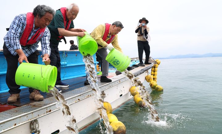 해수부, 고수온·적조 등 피해 어가에 추석 전 재난지원금 72억원 지급