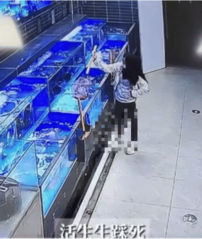 활어 꺼내 밟아 죽이더니…"특가로 살 수 있죠?"