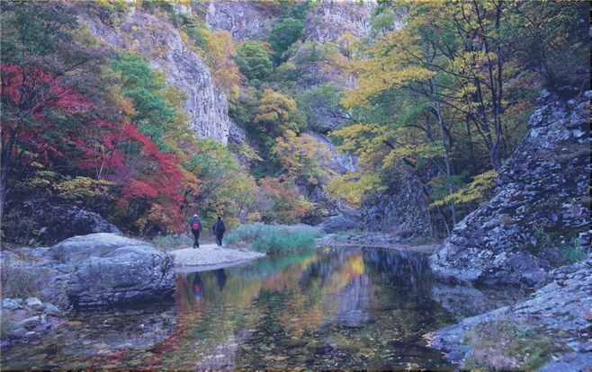 폰테크 달인 ‘취사·야영·흡연·음주’…주왕산국립공원, 불법·무질서 단속 