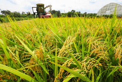 가을걷이 [뉴시스Pic]