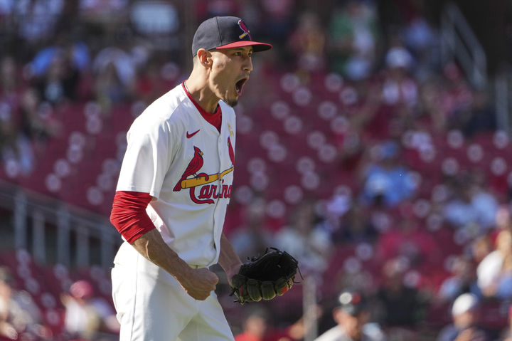 한국 스포츠, 동계올림픽과 WBC에서의 도전과 성과