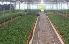 청주시, 농촌지도·시험연구 시범사업…도시농업 등 10개