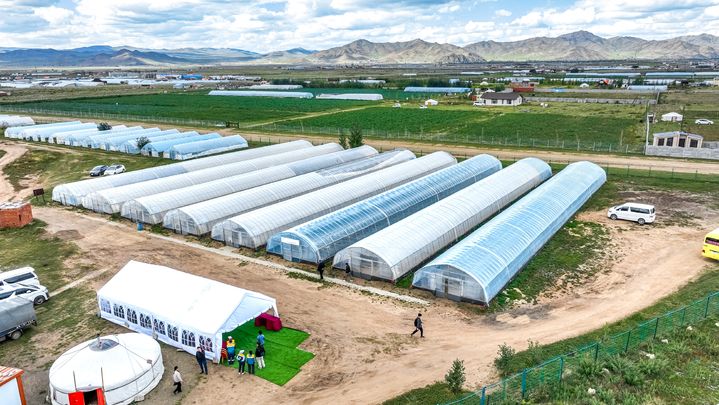 함안군 사절단, 몽골 '함안아라농장' 현장 방문