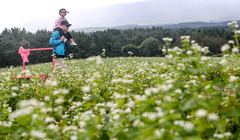 제주시, 손주 돌봄 조부모 첫 수당 지급…"294가정 혜택"