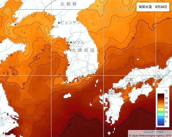 “9월 말인데 바다수영도 가능” 한반도 해면 온도는 ‘여름’ – 폰테크 달인