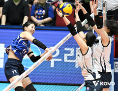 삼척시, '2026 한국 중·고 배구 1차 연맹전 삼척대회' 개최