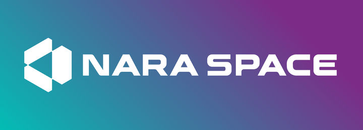 나라스페이스, 증권신고서 제출…코스닥 상장 목표 – 탐정사무소 인천탐정사무소 서울탐정사무소