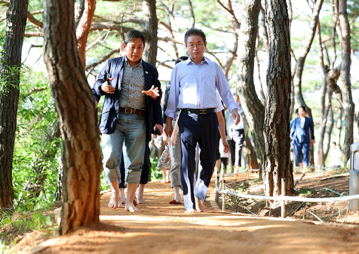 “맨발 걷기 쉽고 즐겁게”경북도, 천년숲 황톳길 새 단장 – 탐정사무소 인천탐정사무소 서울탐정사무소