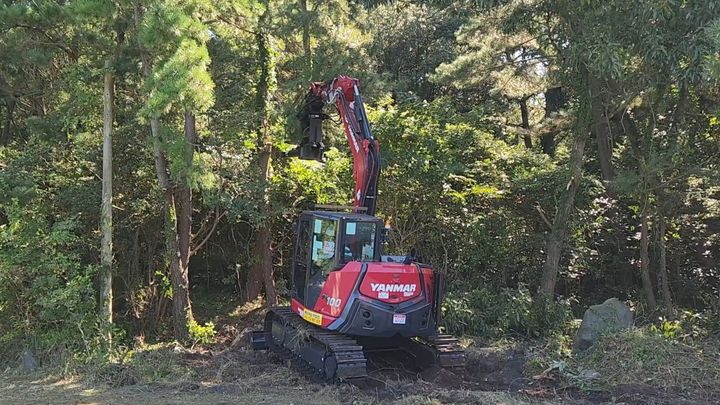 ‘안전·효율’ 제주 소나무재선충 방제에 기계 도입한다 – 탐정사무소 인천탐정사무소 서울탐정사무소