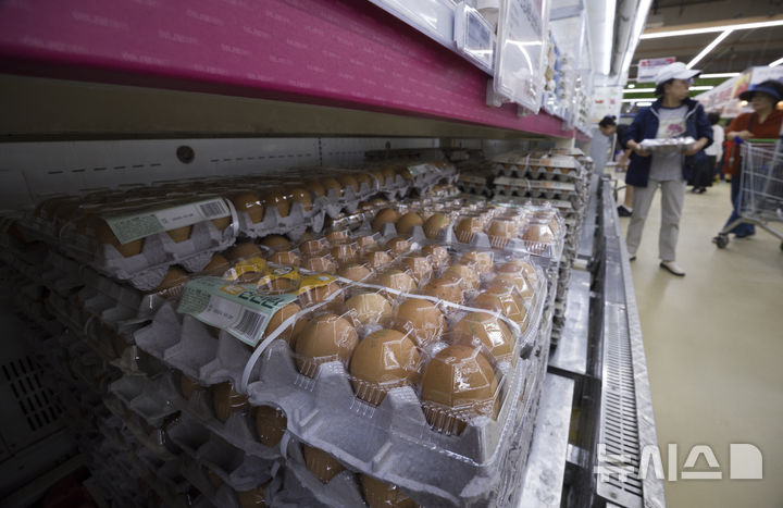 달걀 노른자 진한색이 더 좋다?…