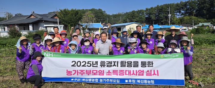 북강릉농협 농가주부모임, 휴경지서 고구마 1500㎏ 수확 – 탐정사무소 인천탐정사무소 서울탐정사무소