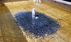 "친환경 양식, 기후변화 대응" 제주도, 33개 사업 296억 투자