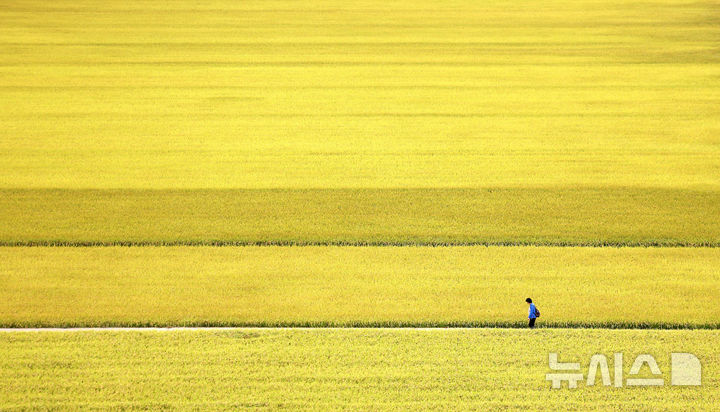 인천탐정사무소 서울탐정사무소 – 대구·경북, 흐리고 기온 ‘뚝’…아침 최저 7도·낮 최고 18도 