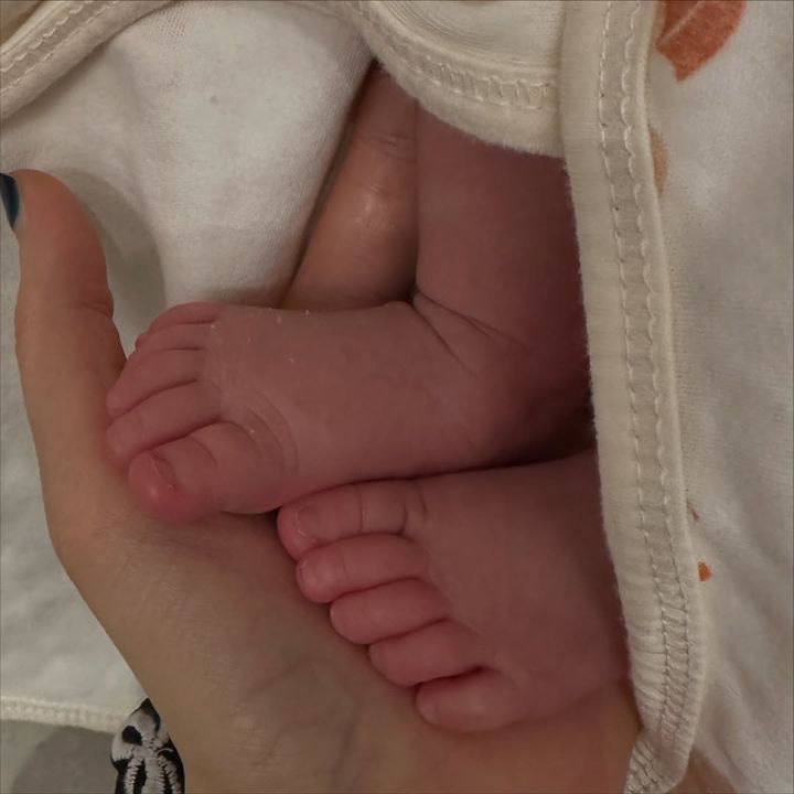 NISI20251015_0001965927_web.jpg?rnd=20251015085852